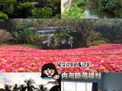 -青青世界