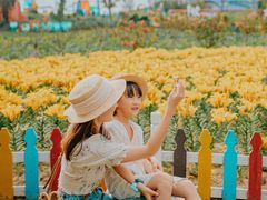 -荷兰花海