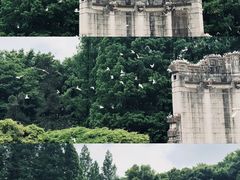 -音乐台