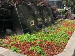 -同济大学附属口腔医院
