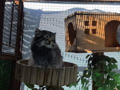 -青藏高原野生动物园