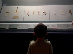 -台北故宫博物院