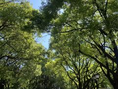 -上海虹桥迎宾馆