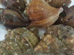 香螺-春园海鲜广场D区6号(钟姐海鲜加工店)