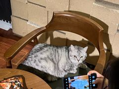 -H立方实景剧情密室(天河旗舰店)