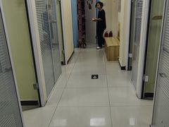 -全心全意连锁动物医院·微创中心·内科急重症·心脏专科(丰管路店)