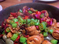 -老板恋上鱼(恒隆广场店)