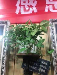-IDO艾渡护肤造型
