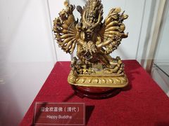 -武汉达临性学生命文化博物馆