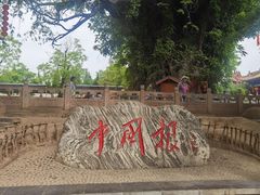 -大槐树寻根祭祖园