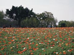-厦门园林博览苑