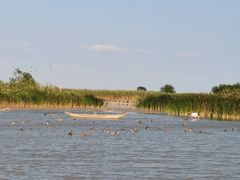 -盐城丹顶鹤湿地生态旅游区