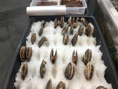 扇贝-盒马鲜生(大成店)