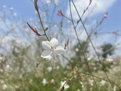 -仙海旅游度假区