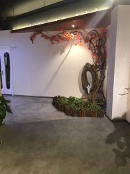 -新境界舞蹈培训中心
