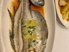 清蒸青斑鱼-京粤荟(海王银河科技大厦店)