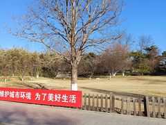 -丰台花园