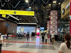 -谢列梅捷沃国际机场