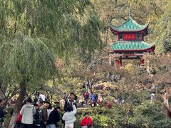 -茶颜悦色(登高路上店)