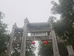-老槐树煎包