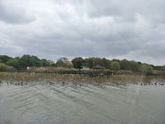 -七的湖·晚芳亭·阳澄湖农家菜·大闸蟹(莲花岛店)