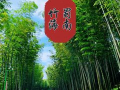 -蜀南竹海景区