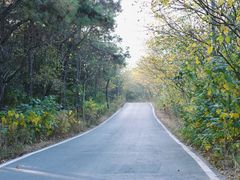 -南京市无想山景区