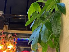-印象江南(东栅店)