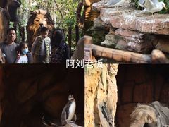 -长鹿旅游休博园