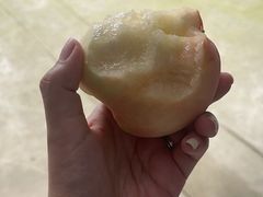 -老袁家蜜桃农场·阳山水蜜桃