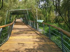 -西湖风景区-江洋畈生态公园