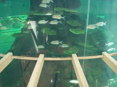 店内环境-鸿通城购物中心