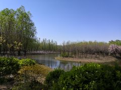 -东郊湿地公园
