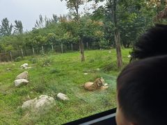 -西安秦岭野生动物园