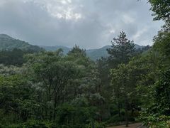 -木兰云雾山