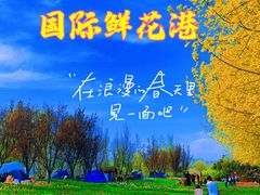 -北京国际鲜花港