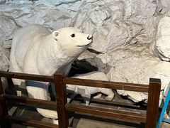-蓬莱欧乐堡海洋极地世界