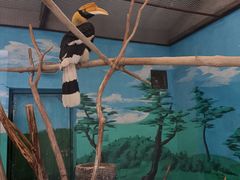 -沈阳森林动物园