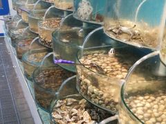 -同道蒸汽海鲜烧烤自助(刘庄夜市店)