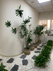 -臻美薈美容养生美甲美睫專門店