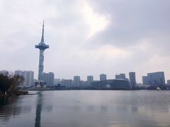 -聚龙湖公园
