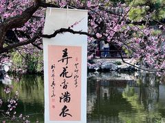 -艺圃