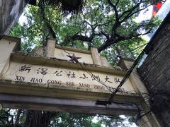 -小洲村