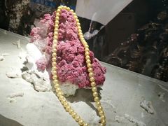 -北海金海湾红树林生态旅游区