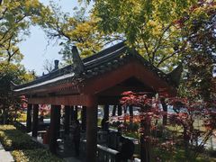 -莲湖公园