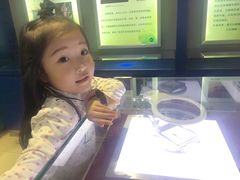 -上海昆虫博物馆