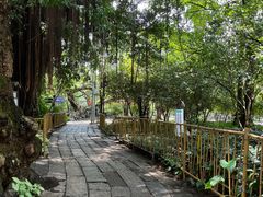 -小洲村