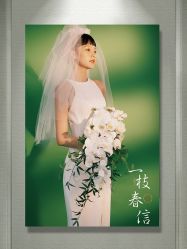 -皇室米澜摄影工作室(宝安店)