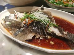 清蒸鱼-辛香汇·现炒川菜(淮海路百盛店)