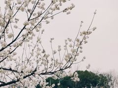 -国际非物质文化遗产博览园